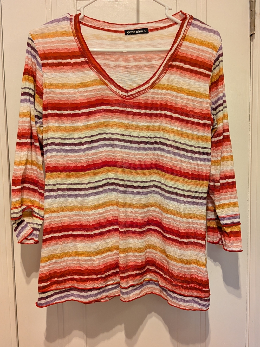 Gorgeous David Cline Crushed Fabric 3/4 Sleeve Multi-Color Striped V-Neck